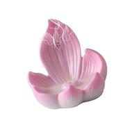 jojnsha Brûlers Enceintes Résines en en Brûlers Backflow Harders pour Aromatherapys Ornement Decor Décor