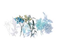 jojofuny 1 Boîte Fleurs Séchées et Pressées Véritables, Fleurs Séchées pour Loisirs Créatifs, Bleu, Matériau DIY Décoratif, pour Décoration Artisanale et Confection D'herbiers