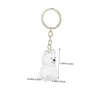 jojofuny 2 pièces Boîte Mémoire pour Poils Animaux Porte-clés Transparent pour Chiens et Chats Coffret Souvenir et Sécurisé pour Poils de Compagnie Charm de Commémoration Polyvalent