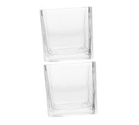 jojofuny 2 pièces Vases Verre Transparent Carré pour Plantes Hydroponiques Décoration de Table et Maison Centre de Mariage Vase Cube Clair Polyvalent pour Plantes Intérieur et Camping