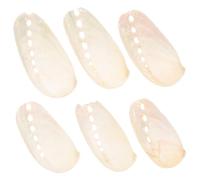 jojofuny 6 Pièces Coquillages Ormeau Naturel Beige Décoration Plage Style Côtier pour Cérémonie Mariage Accessoire Photo et Artisanat Décoratif