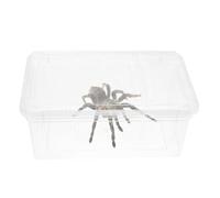 jojofuny Boîte D'élevage pour Reptiles Légère en Plastique Système de Ventilation Stable, pour Scorpion et Gecko en Extérieur