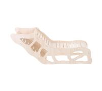 jojofuny Cachette en Bois pour Hamster Grosse Taille Tunnel et Échelle Maison Multifonction pour Rongeurs Espace de Jeu et Repos Sécurisé Cabane Naturelle pour Hamster Accessoires Cage
