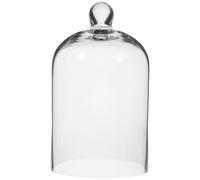 jojofuny Dôme en Verre Transparent 15 Cm Cloche Fleur Éternelle en Verre Décoration Maison Bureau Micro-Paysage sous Cloche Accessoire Décoratif Élégant