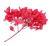 jojofuny Fleurs Hortensia Séchées Naturelles pour Loisirs Créatifs Et DIY Composées De Fleurs Immortelles avec Détails Réalistes