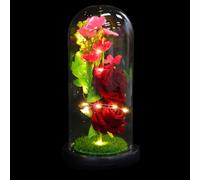 jojofuny Lampe LED de Décoration Romantique avec Fleur Artificielle sous Cloche en Verre Éclairage D’Ambiance pour Saint-Valentin Présent Créatif pour Maison Bureau et Salon Effet