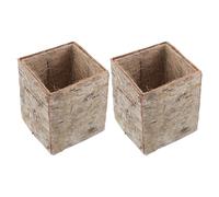 jojofuny Lot de 2 Jardinières en Bois D'écorce de Bouleau Rustiques, Design Rectangulaire, Artisanales et Respirantes, pour Plantes Succulentes sur Bureau ou Jardin Solide