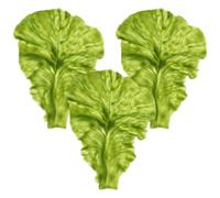 jojofuny Lot de 3 feuilles de salade artificielles résistantes à la lumière pour jardins d'enfants et buffets
