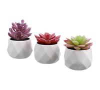 jojofuny Lot de 3 Plantes Succulentes Artificielles en Pot Bonsaï Simulé Décoratif pour Bureau Mini Plantes Vertes Artificielles Décoration Intérieure Naturelle Entretien