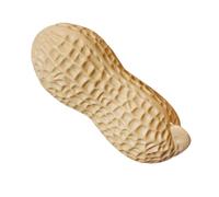 jojofuny Ornement Artificiel de Cacahuète 30 CM Décoration de Maison Originale en Mousse Accessoire Photo Créatif pour Fête et Décor Cuisine Modèle Réaliste de Simulation D’Arachide