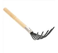 jojofuny Râteau à Palourdes en Acier Inoxydable avec Filet Manche en Bois Antidérapant Râteau Polyvalent pour Creuser Fruits de Mer sur Plage Noir 1 Pièce Outil de Jardinage Pratique