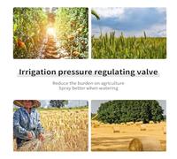 jojofuny Régulateur de Pression 30 Psi pour Système d'Irrigation Goutte à Goutte Raccord Fileté 3/4 Pouce Intérieur et Extérieur Matériau Ignifugé Solide Adapté pour Agriculture et