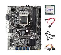 Jojomino Carte mère B75 ETH Mining 8 adaptateurs USB + processeur G530 + 2 câbles SATA + câble 4 broches vers SATA LGA1155 B75 USB Miner Carte mère