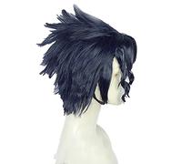JoJo's Bizarre Adventure Kujo Jotaro Perruque courte noire et bleue résistante à la chaleur Cheveux synthétiques Anime Costume Cosplay + bonnet