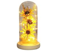 Jokapy Tournesol Eternelle sous Cloche avec LED, Fleurs de Tournesol Lumineuses, Fleur Artificielle Cadeau pour Romantiques et Décorations D'intérieur