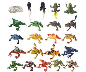 JOKFEICE Figures animales 22 pièces Réaliste Figurines de Grenouille Modèle d'action pour Le Projet Scientifique, l'apprentissage des Jouets éducatifs, Un Cadeau d'anniversaire pour Les Enfants