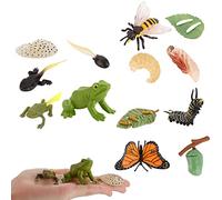 JOKFEICE Lot de 13 Jouets d'insectes,Cycle de Vie de Papillon, Abeille et Grenouille,Jouets éducatifs précoces,Projet Scientifique de Noël ou d'anniversaire pour Enfants