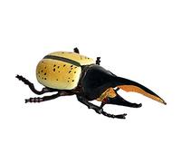JOKFEICE Réaliste Figures Animales Hercules Beetle Figurines Insectes Jouet, Projet Scientifique, Gâteau Topper, Anniversaire Cadeau De Noël pour Les Tout-Petits Enfants Âge 3 4 5