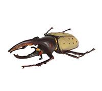 JOKFEICE Réaliste Figures Animales Hercules Beetle Figurines Insectes Jouet, Projet Scientifique, Gâteau Topper, Anniversaire Cadeau De Noël pour Les Tout-Petits Enfants Âge 3 4 5
