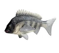 JOKFEICE Réaliste Figures Animales Tilapia Mossambica Mer Animal Jouet, Projet Scientifique, Gâteau Topper, début Jouets Éducatifs d'anniversaire Cadeau De Noël pour Les Tout-Petits Enfants Âge 3 4 5