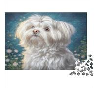 Joli Animal de Compagnie Chien Papier Lourd Bichon Maltais dans Une Prairie de Marguerites Puzzle Cadeau d’Anniversaire idéal 38x26cm/1000 pièces