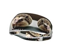 Joli bandeau de sport en forme de hérisson pour homme, évacuation de l'humidité RRXNBCGG, bandeau d'entraînement pour la course, le cyclisme, le football, bandeau pour homme et femme