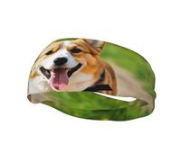 Joli bandeau élastique imprimé corgi pour femme, bandeau de sport unisexe, pour entraînement, yoga, course à pied