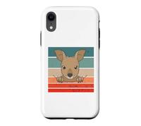 Joli bébé à l'intérieur. Mignon bébé Kangourou dans Le Coque pour iPhone XR
