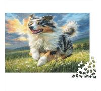 Joli Chien Animal de Compagnie Carton Rigide Berger Australien Courant dans Un Champ herbeux Puzzle Classique Cadeau d'entraînement cérébral pour Adultes 70x50cm/1000 pièces