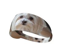 Joli Chien Maltais imprimé,Bandeau de Sport Unisexe, Bandeau élastique Multi-usages pour Cheveux