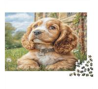 Joli Chien Papier Premium Cocker Spaniel allongé sur l’Herbe près d’Un Mur en Pierre Puzzle à Monter soi-même Décoratif Anti-Stress 38x26cm/1000 pièces