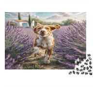 Joli Chien Papier Premium Épagneul Breton Courant dans Un Champ de Lavande Puzzle à Monter soi-même Décoratif Anti-Stress 52x38cm/1000 pièces