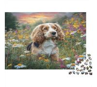 Joli Chien Papier résistant Cavalier King Charles Spaniel dans Un Champ de Marguerites au Coucher du Soleil Puzzle Activité familiale éducative 70x50cm/1000 pièces