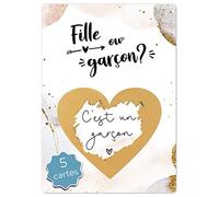 Joli Coon 5 Cartes a gratter Gender Reveal fille ou garcon - Cest un garcon carte - Annonce fille ou garcon