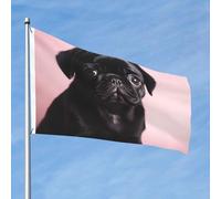 Joli drapeau carlin noir 61 x 91 cm double face qui ne se décolore pas, drapeau de bienvenue avec bannière extérieure en laiton, décoration pour cour, porche, pelouse