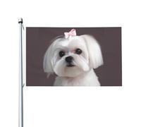 Joli drapeau de bienvenue en forme de chien maltais 90 x 150 cm - Ne se décolore pas - Double face - Bannière d'extérieur pour cour, porche, pelouse