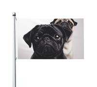 Joli drapeau de chien carlin noir 0,9 x 1,5 m pour intérieur et extérieur, printemps, été, automne, hiver, drapeau de jardin avec œillets double face pour décorations de cour
