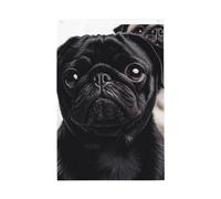 Joli drapeau de chien carlin noir 61 x 91 cm double face qui ne se décolore pas, drapeau de bienvenue avec bannière extérieure en laiton, décoration pour cour, porche, pelouse