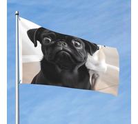 Joli drapeau de chien carlin noir 61 x 91 cm double face qui ne se décolore pas, drapeau de bienvenue avec bannière extérieure en laiton, décoration pour cour, porche, pelouse