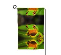 Joli drapeau de jardin double face imprimé grenouilles arborières, drapeaux de jardin pour décoration d'intérieur - Résistant aux intempéries et double couture - 45,7 x 31,8 cm