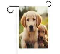 Joli drapeau de jardin Golden Retriever pour maison, pelouse, panneau de bienvenue, bannière double face, petits drapeaux personnalisés pour piscine, cour, extérieur, décoration murale, 32,6 x 47,5 cm