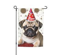Joli drapeau de jardin « Happy Birthday » - 30,5 x 45,7 cm - Double face - Printemps - Été - Décoration de cour - Petit drapeau saisonnier - Décoration extérieure