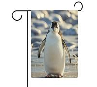 Joli drapeau de jardin pingouin pour maison, pelouse, panneau de bienvenue, bannière double face, petits drapeaux personnalisés pour piscine, cour, extérieur, décoration murale, 32,6 x 47,5 cm