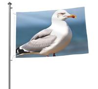 Joli drapeau de mouette 61 x 91 cm avec impression double face pour l'extérieur, les vacances, bannière cadeau avec œillets, toile de fond pour photo pour décoration intérieure et extérieure