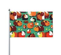 Joli drapeau d'extérieur imprimé cochon d'Inde, pour terrasse, pelouse, décoration de fête. Affichez fièrement votre style