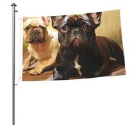 Joli drapeau graphique bouledogue français 61 x 91 cm Drapeau double face avec œillets en laiton ne se décolore pas, bannière de vœux, décoration d'intérieur ou d'extérieur