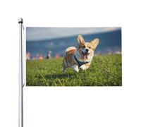 Joli drapeau imprimé corgi intérieur extérieur vacances décorations de maison printemps été automne hiver drapeau double face