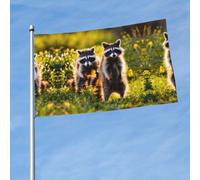 Joli drapeau imprimé raton laveur 0,9 x 1,5 m avec œillets en laiton, tissu à séchage rapide, pour cour, balcon, porche, fête