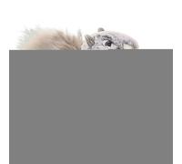 Joli écureuil en peluche - Queue de poupée douce et réaliste - Peluche détaillée - Écureuil décoratif avec design réaliste pour les prix scolaires, les chambres à coucher et les cadeaux