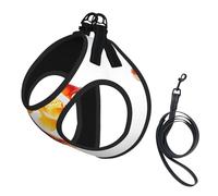 Joli harnais pour chien avec imprimé poissons rouges, 2 boucles, gilet pour chien, clip avant anti-traction pour laisse pour chiens de petite et moyenne taille